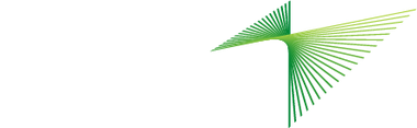 Transgrid logo